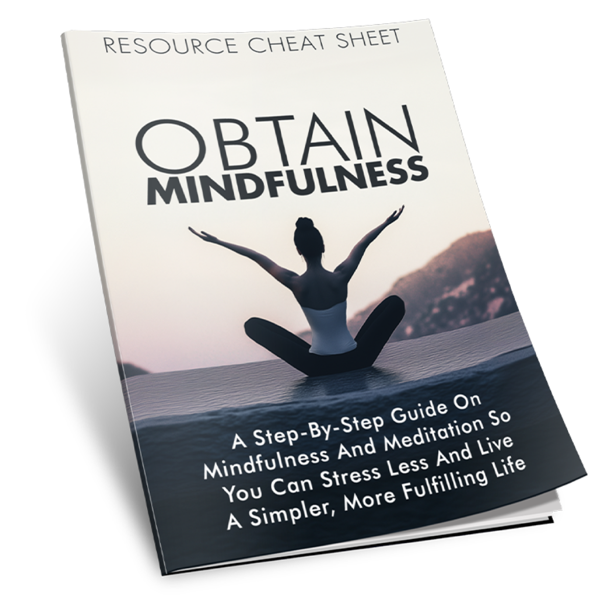 Obtain Mindfulness Guide