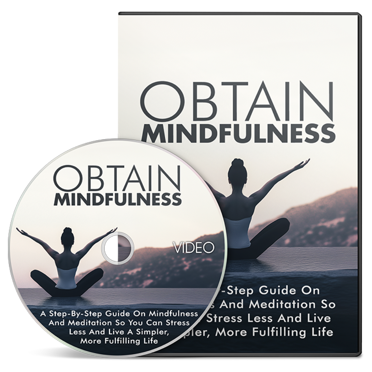 Obtain Mindfulness Video Upgrade Video Course